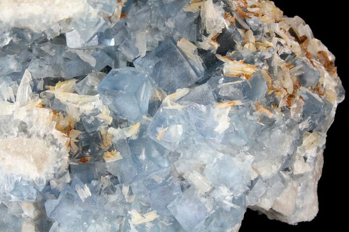 Blue, Cubic Fluorite Crystal Cluster - New Mexico #100984